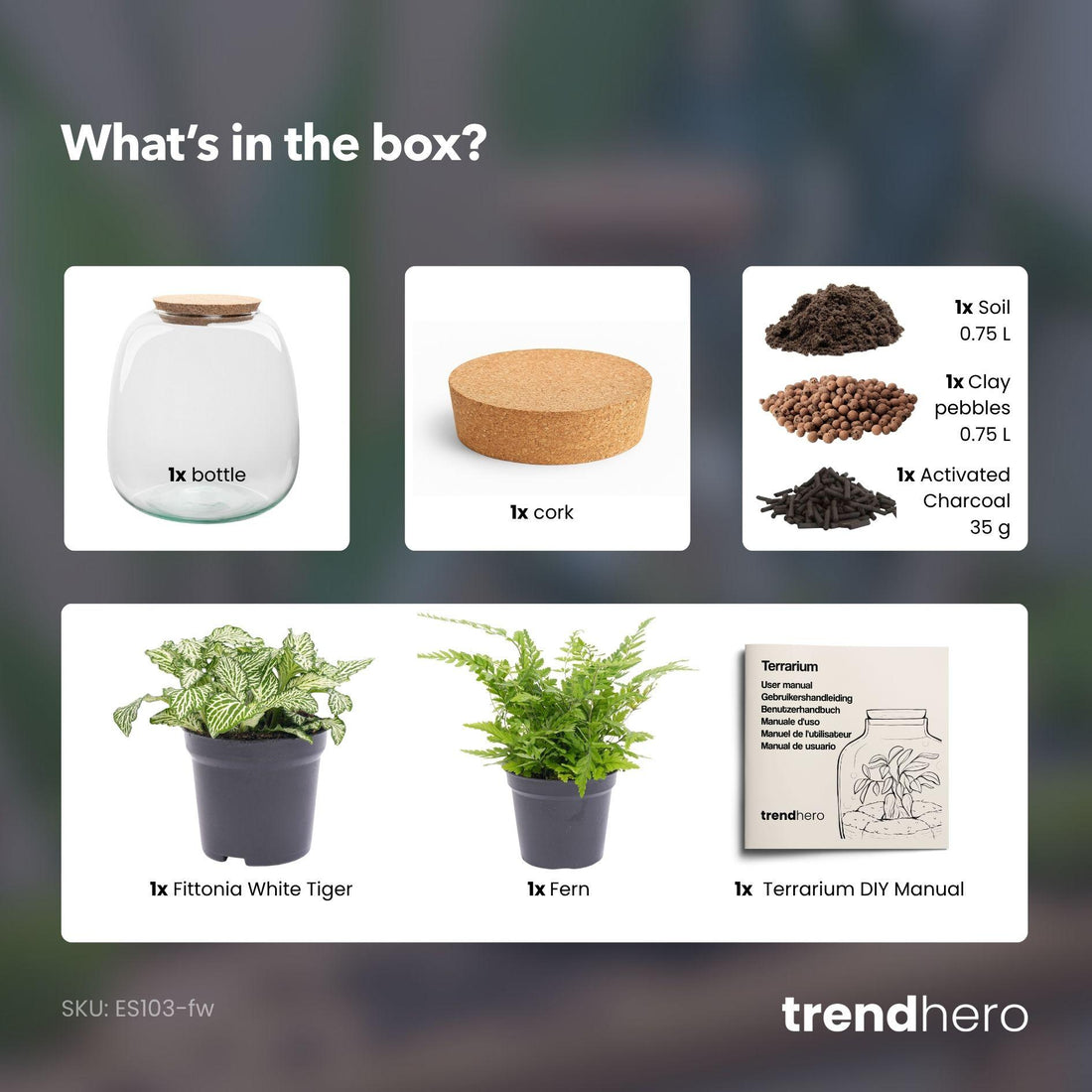 Flaschengarten - Emma Mini - DIY kit - ↑ 20 cm - Ø 19 cm - Fittonia White Tiger