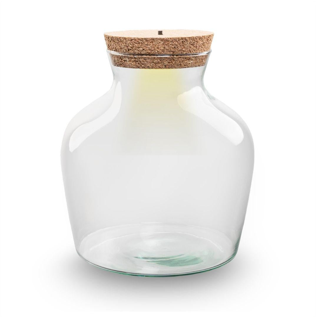 Terrarium fles met verlichting - Little Joe - Ø 20 cm ↑ 22 cm