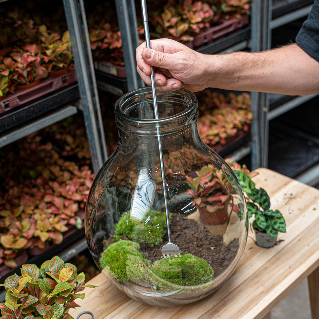 Flaschengarten-Werkzeug – Harke – 16–49 cm – Teleskop – Edelstahl - Terrarium Werkzeug