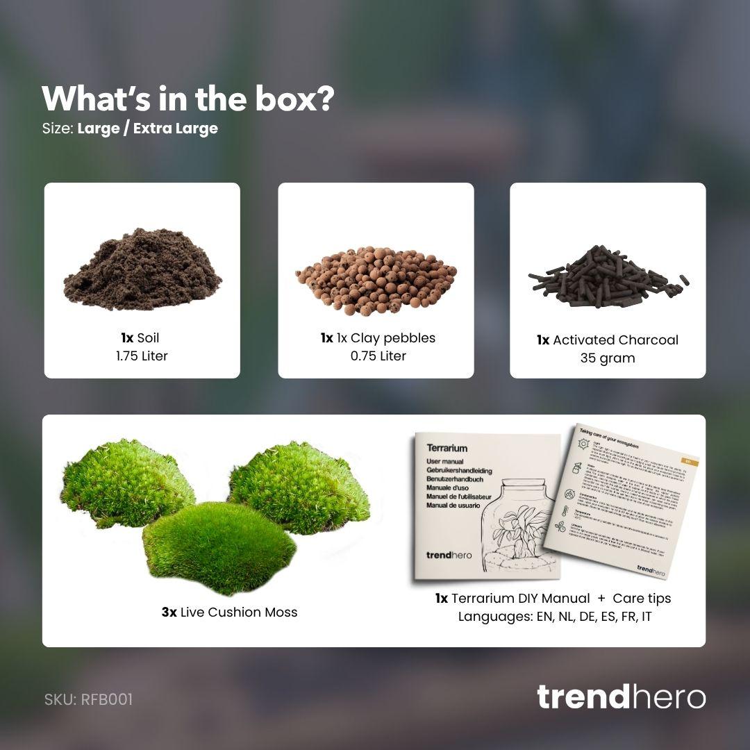 Planten terrarium navulling &amp; startpakket - Maat L/XL