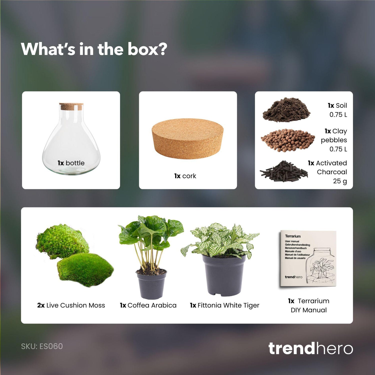 DIY terrarium – Sammie – ↕ 27 cm