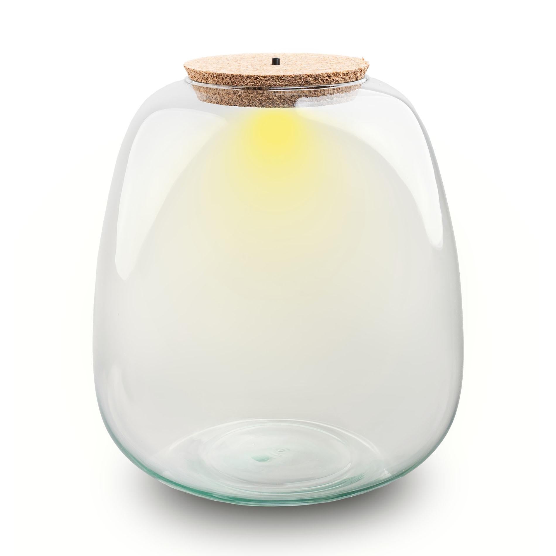 Terrarium fles met verlichting - Emma - Ø 23 cm ↑ 25 cm
