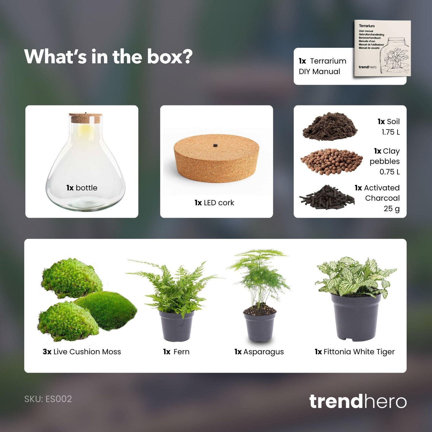 Flaschengarten - Sam XL - ↕ 35 cm - ohne Werkzeug