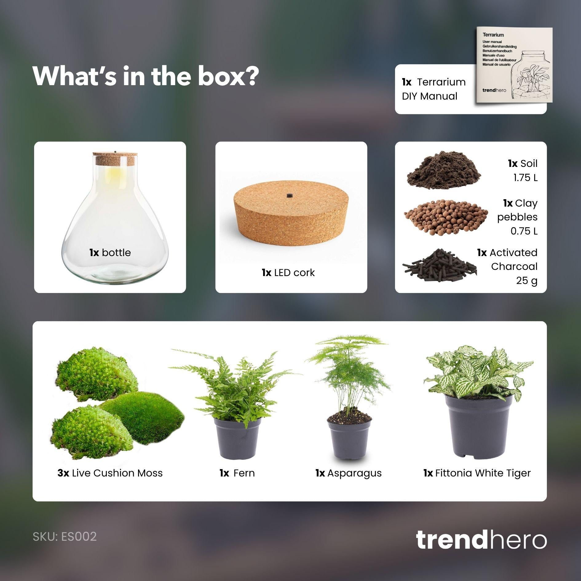 Flaschengarten - Sam XL - ↕ 35 cm - ohne Werkzeug