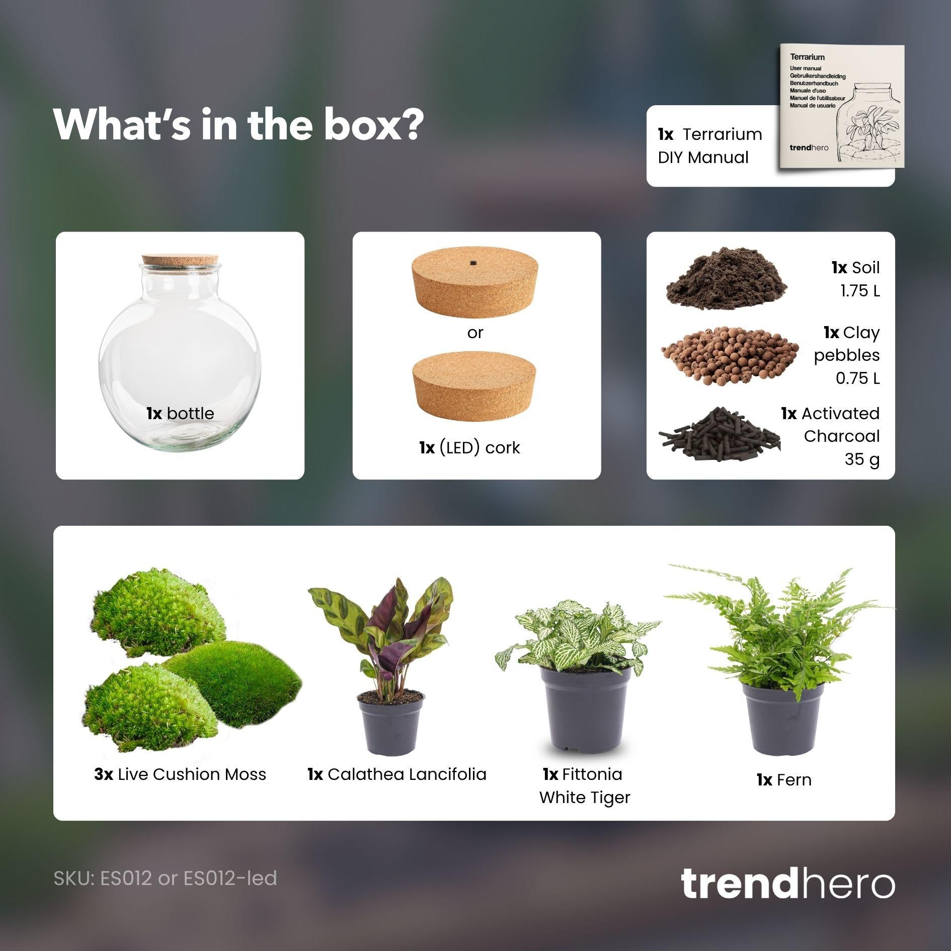 Flaschengarten - Bolder Bob - ↕ 30 cm - ohne Werkzeug