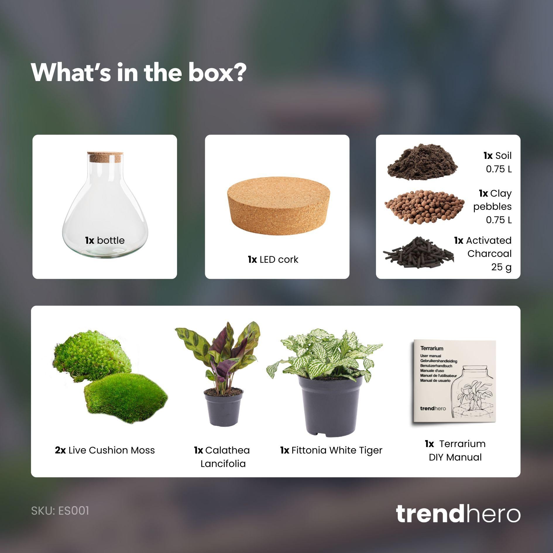 Flaschengarten - Sammie - ↕ 26 cm - ohne Werkzeug