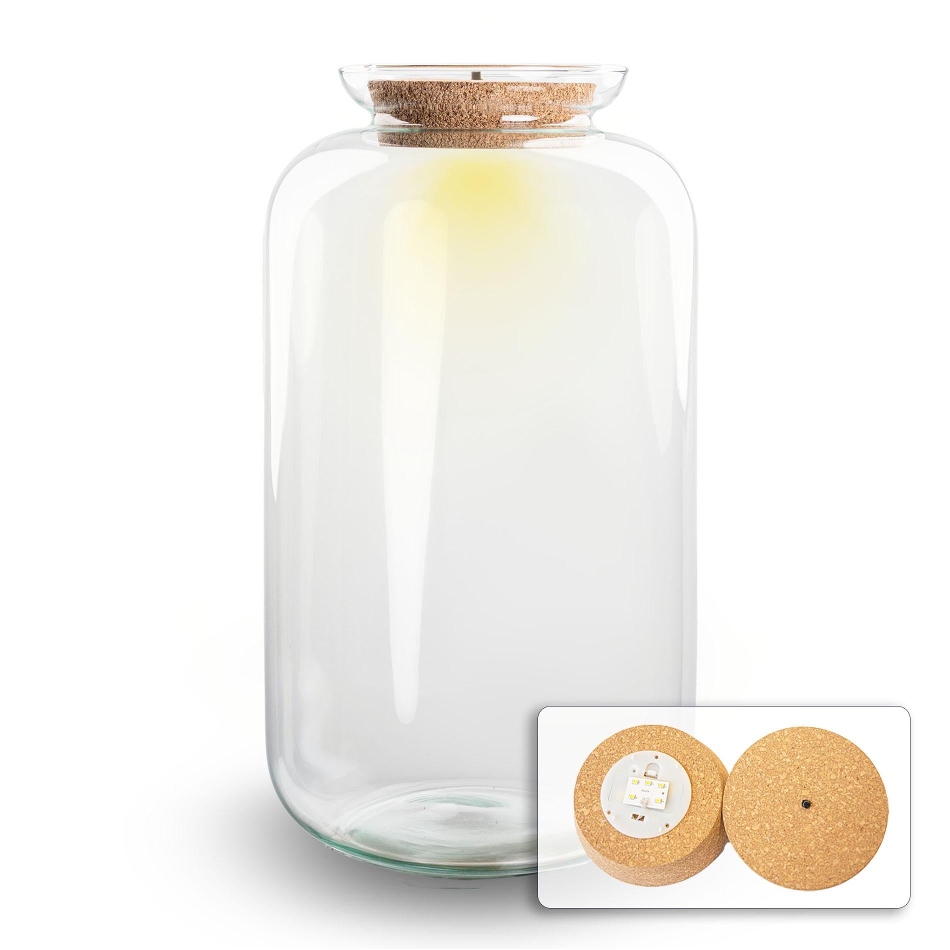 Terrarium fles met verlichting - Sven XL - Ø 23 cm ↑ 43 cm