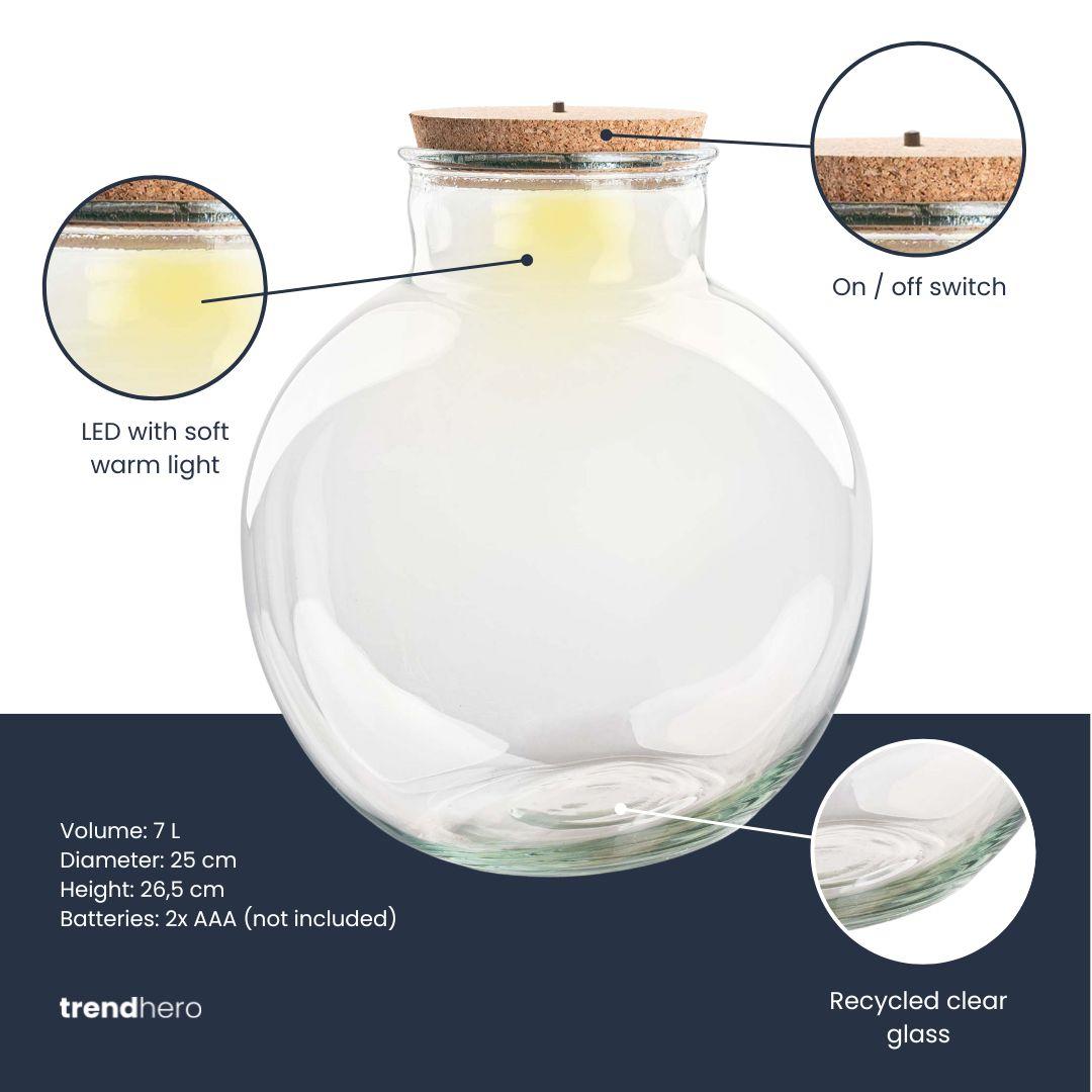 Terrarium fles (met) verlichting - Teddy - Ø 25 cm ↑ 26,5 cm - Zonder LED-kurk