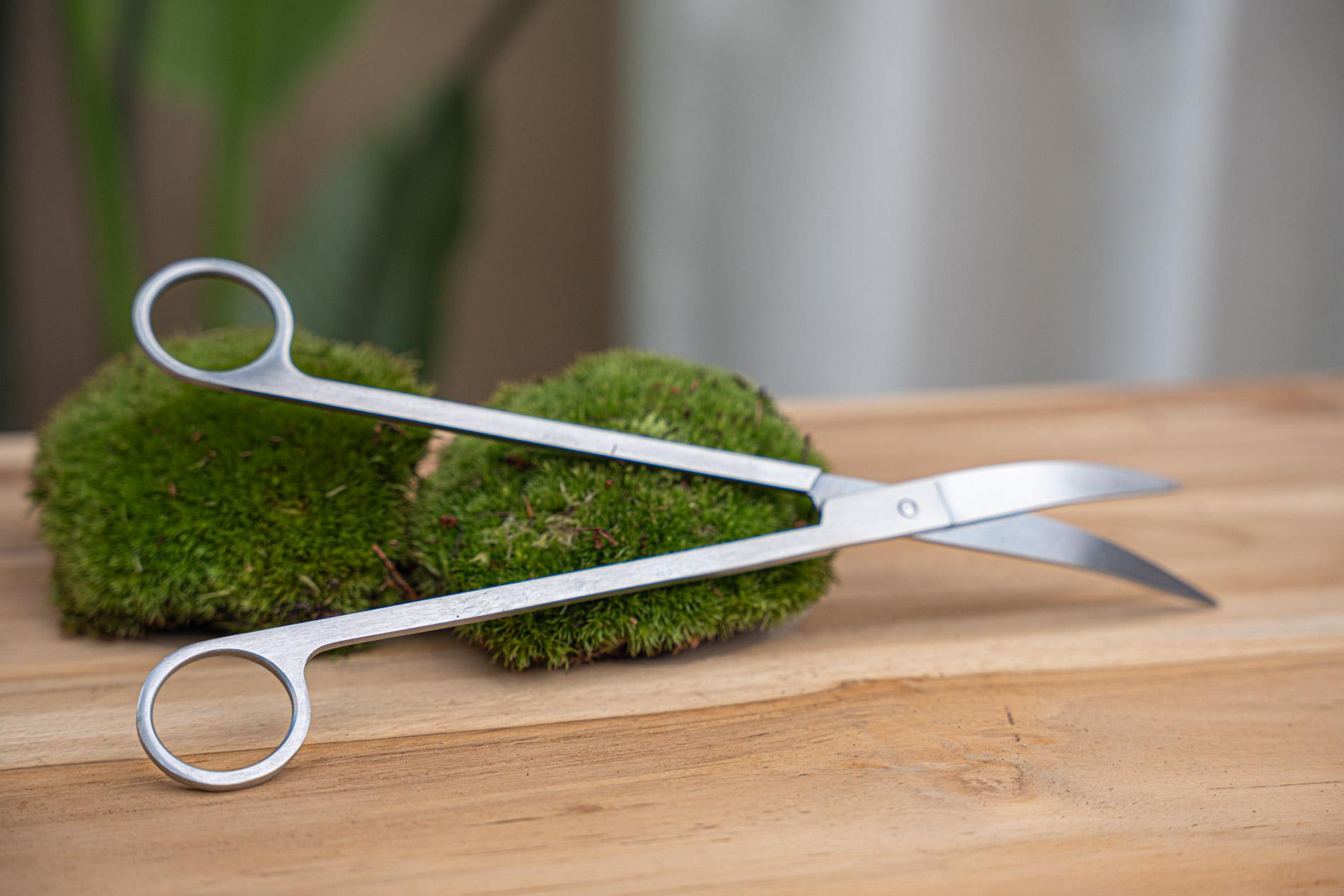 Lange terrarium-schaar - Roestvast staal - ↑ 25 cm