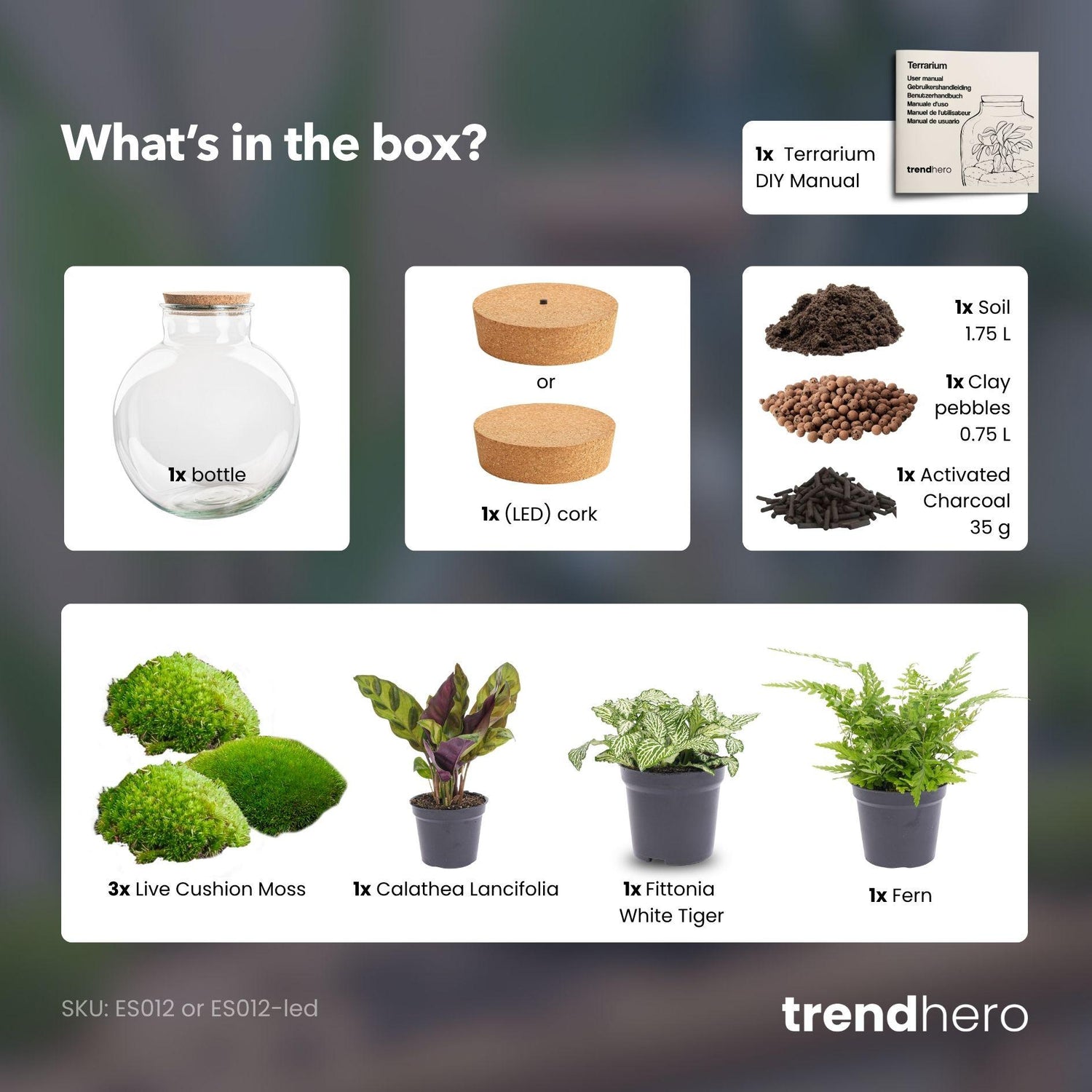 Flaschengarten - Bolder Bob - ↕ 30 cm - mit LED Korken