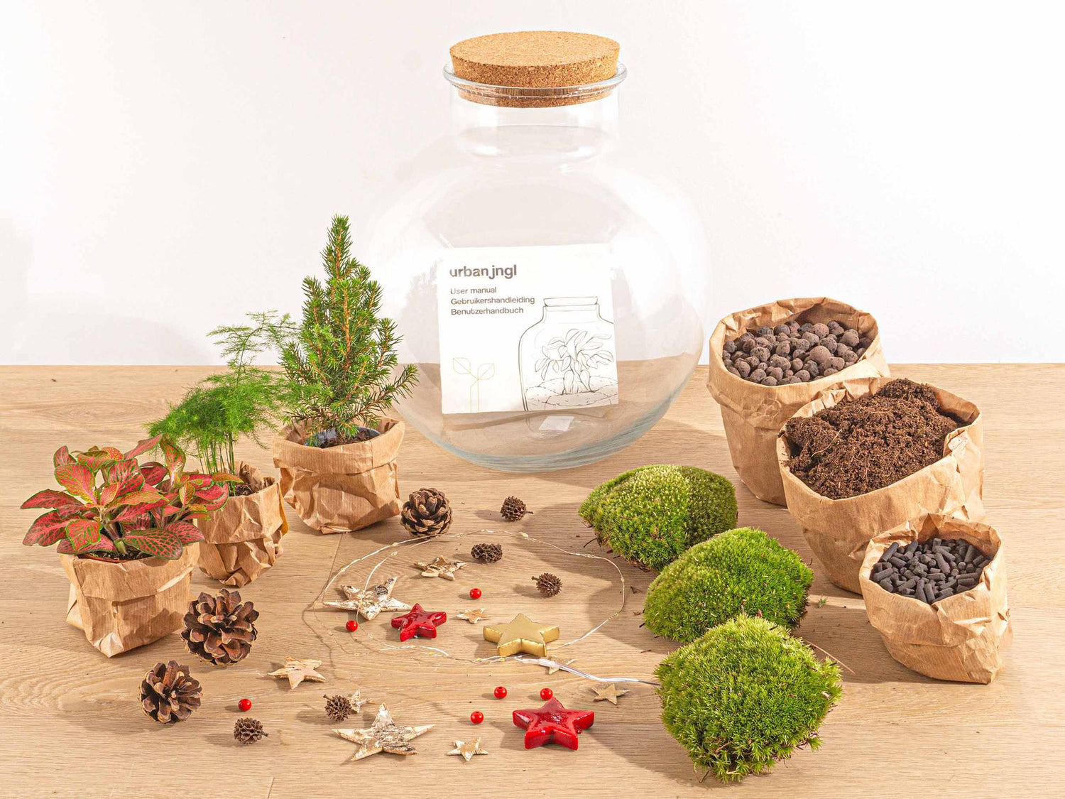 Bolder Bob Bonsai Christmas - DIY - ↕ 30 cm