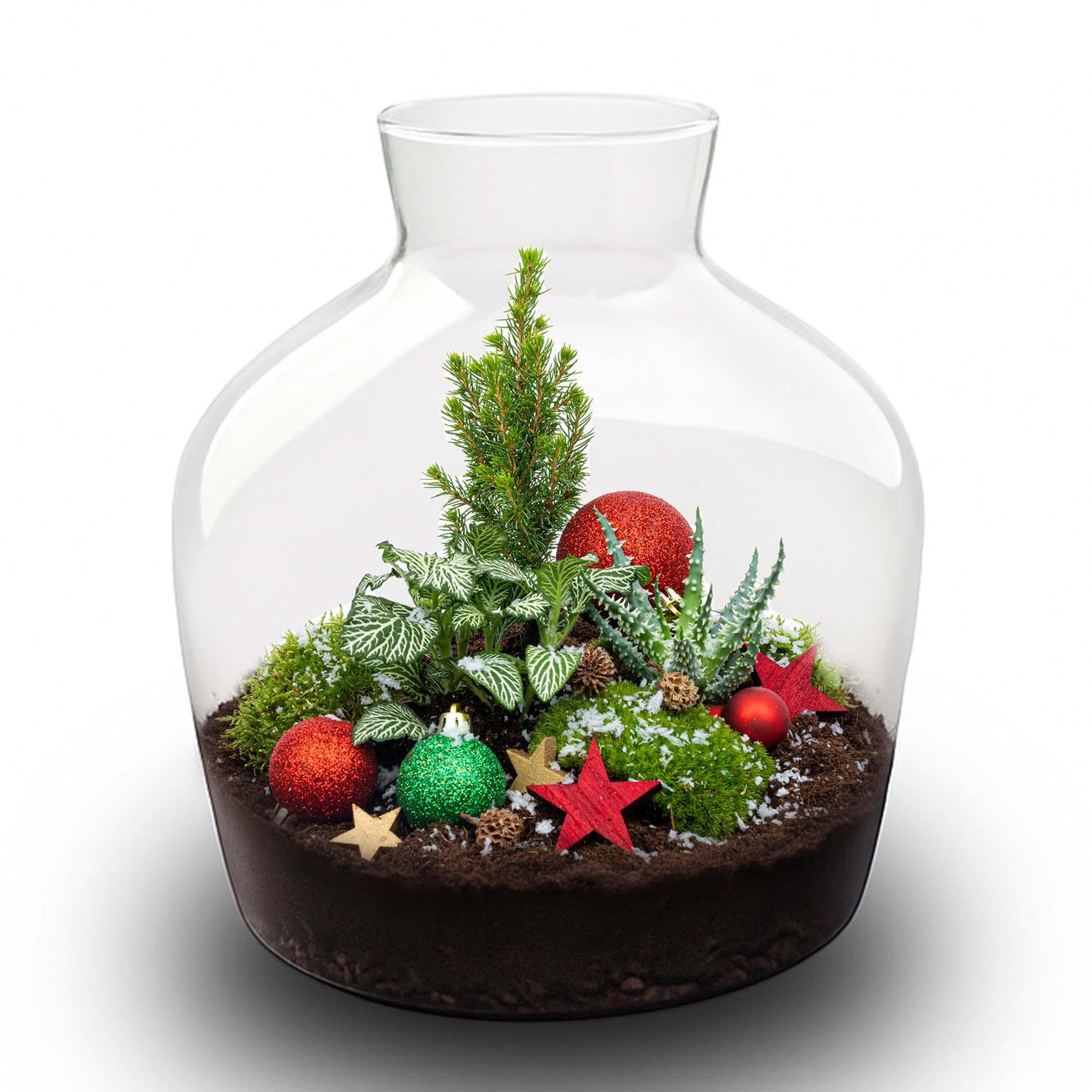 Flaschengarten - Weihnachtsspecial - DIY kit - Ø 29 cm ↑ 30