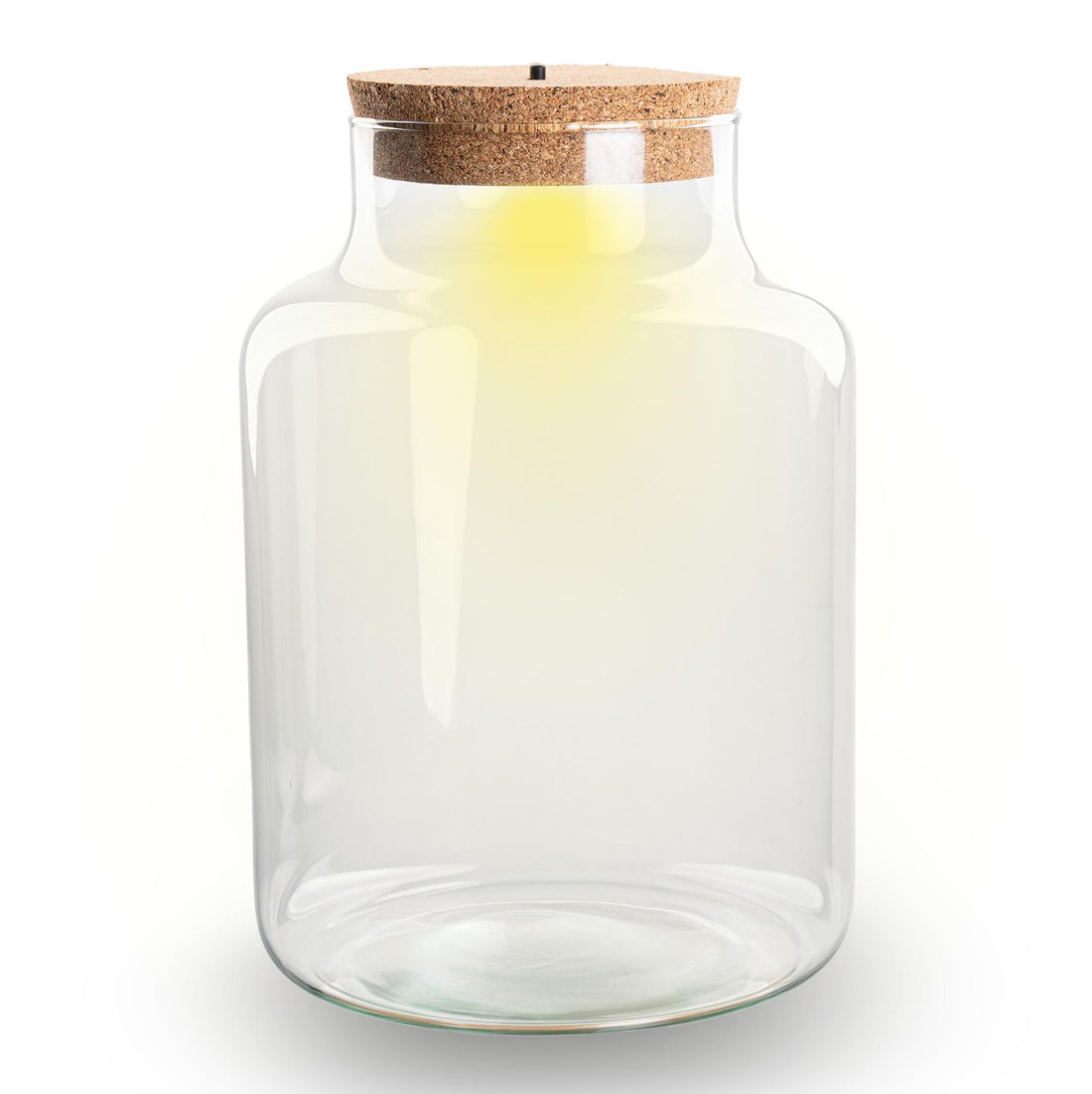 Terrarium fles met verlichting - Little Milky - Ø 17 cm ↑ 25 cm