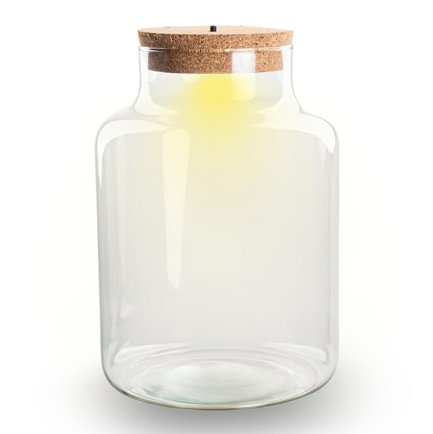 Terrarium fles met verlichting - Little Milky - Ø 17 cm ↑ 25 cm