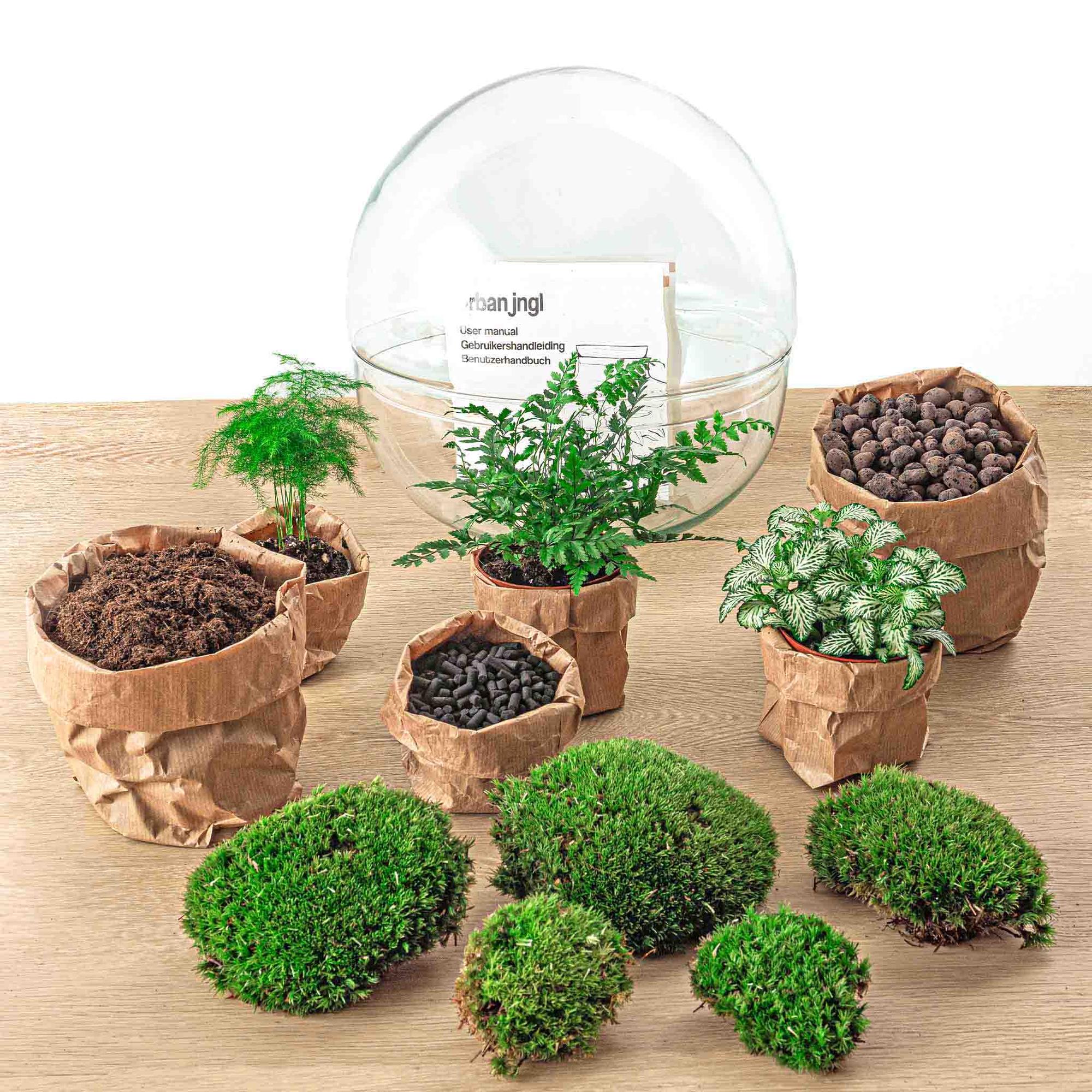 Flaschengarten - Dome XL - ↕ 30 cm - Rechen und Schaufel