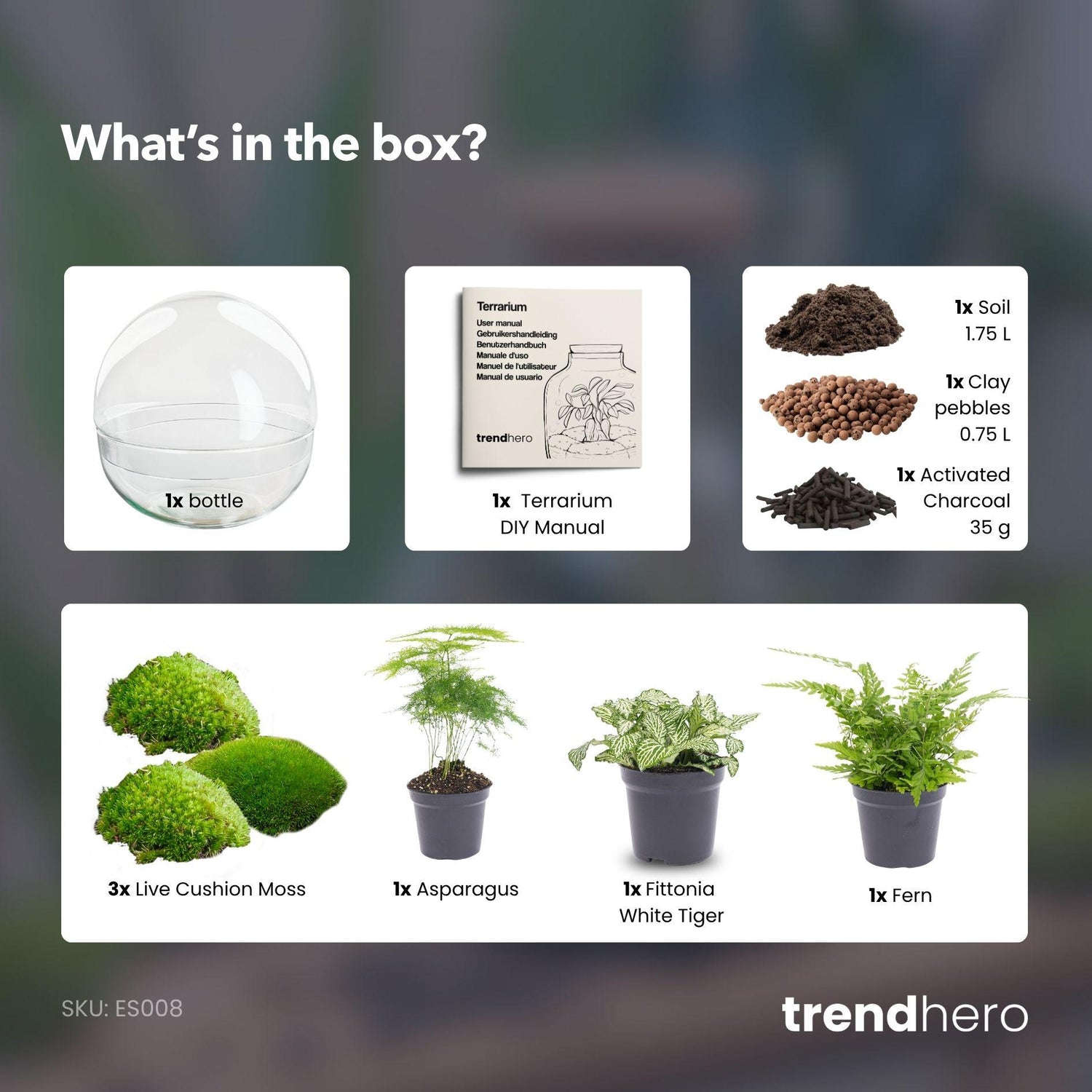 Flaschengarten - Dome XL - ↕ 30 cm - ohne Werkzeug