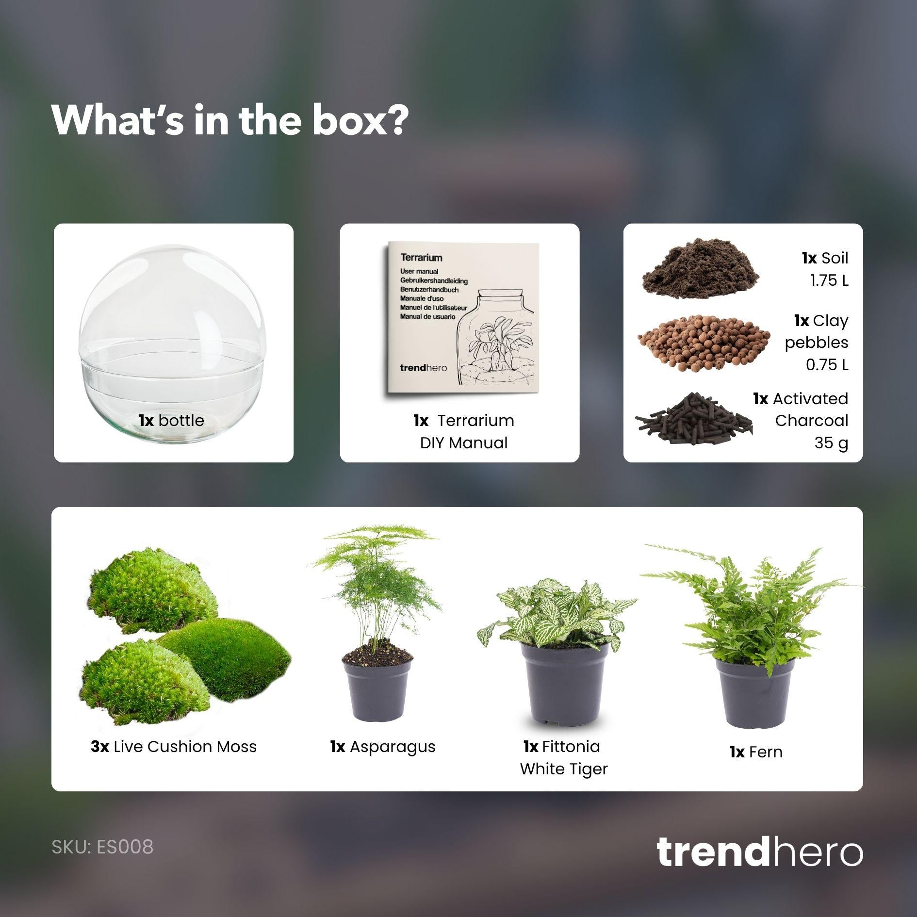 Flaschengarten - Dome XL - ↕ 30 cm - ohne Werkzeug