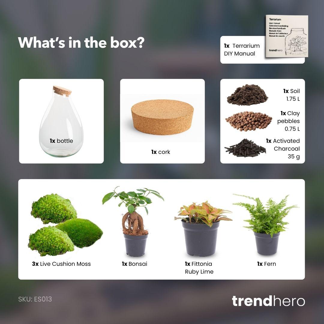 Flaschengarten - Drop XL - ↕ 37 cm - ohne Werkzeug