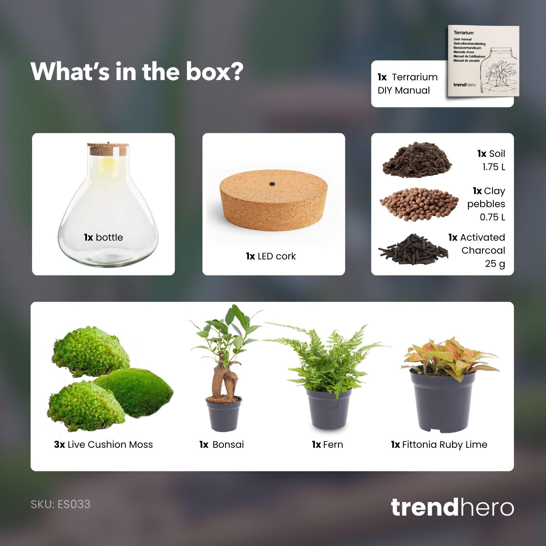 DIY Flaschengarten mit Licht - Sam XL Bonsai - Ø 30 cm ↑ 32 cm