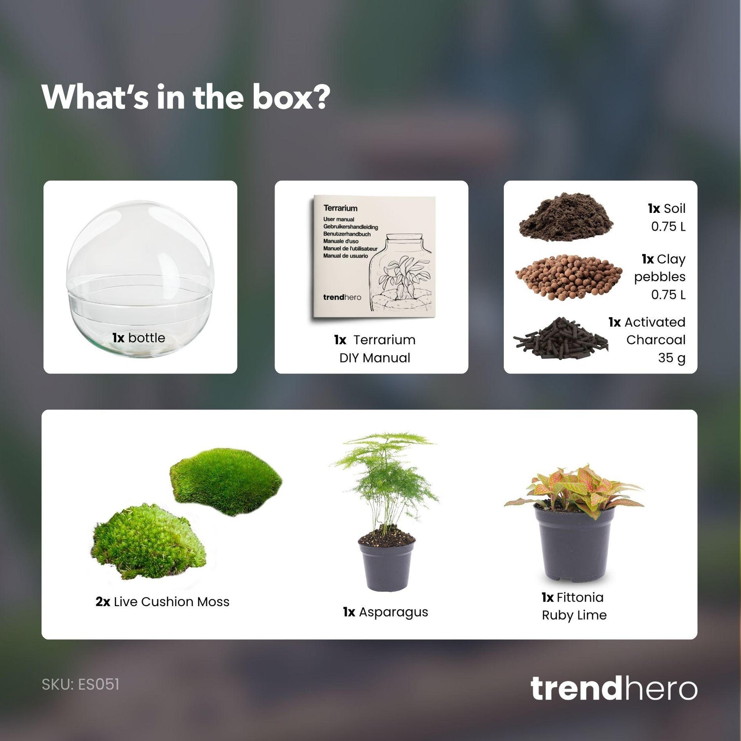 Flaschengarten - Dome Rot - ↕ 20 cm