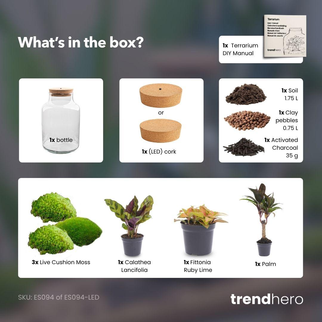 DIY Flaschengarten mit Licht - Milky Palm - Ø 21 cm ↑ 30 cm