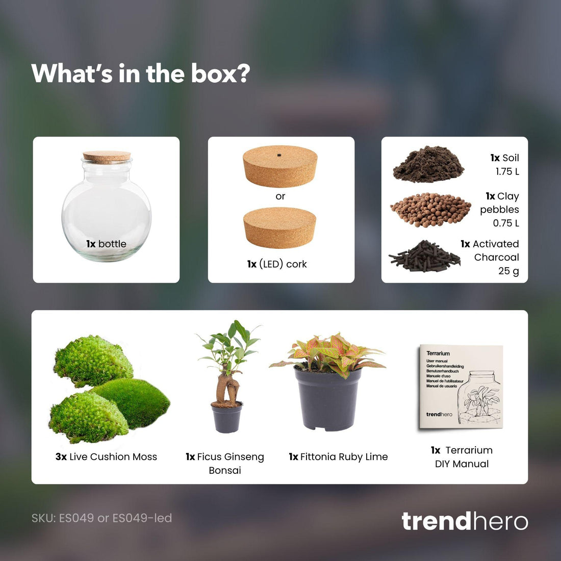 Flaschengarten - Teddy bonsai - ↕ 26,5 cm - Mit LED Korken