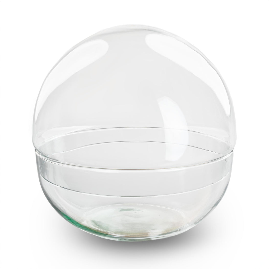 Terrarium bolglas tweedelig - Dome - Ø 20 cm ↑ 20 cm