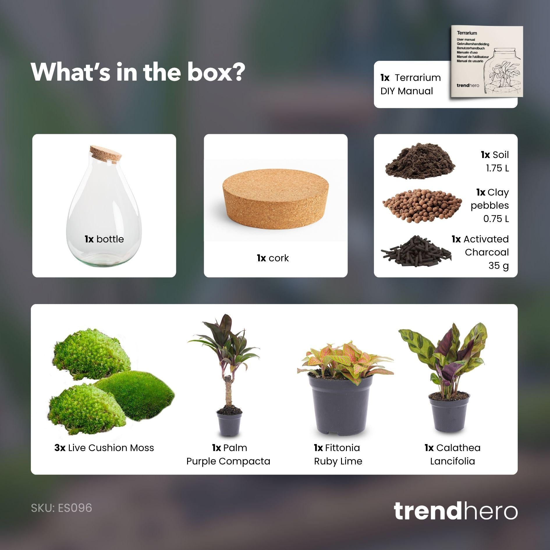 Flaschengarten - Drop XL Rot - ↕ 37 cm - ohne Werkzeug