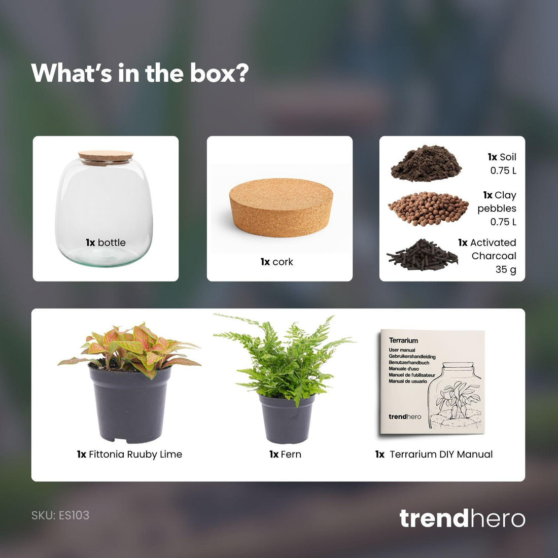 Flaschengarten - Emma Mini - DIY kit - ↑ 20 cm - Ø 19 cm - Fittona Ruby Lime