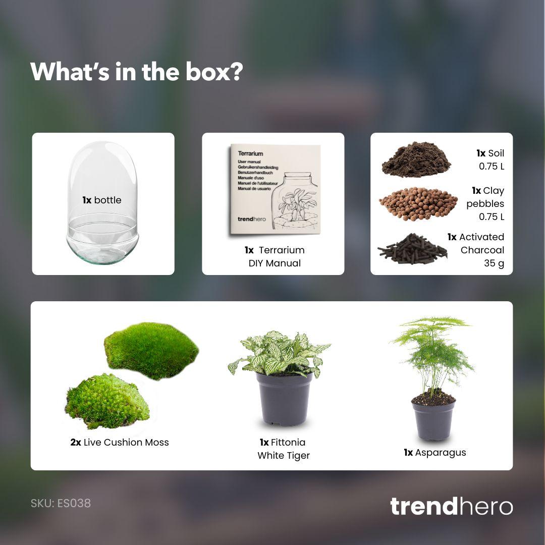 Flaschengarten - Egg XL - ↕ 30 cm