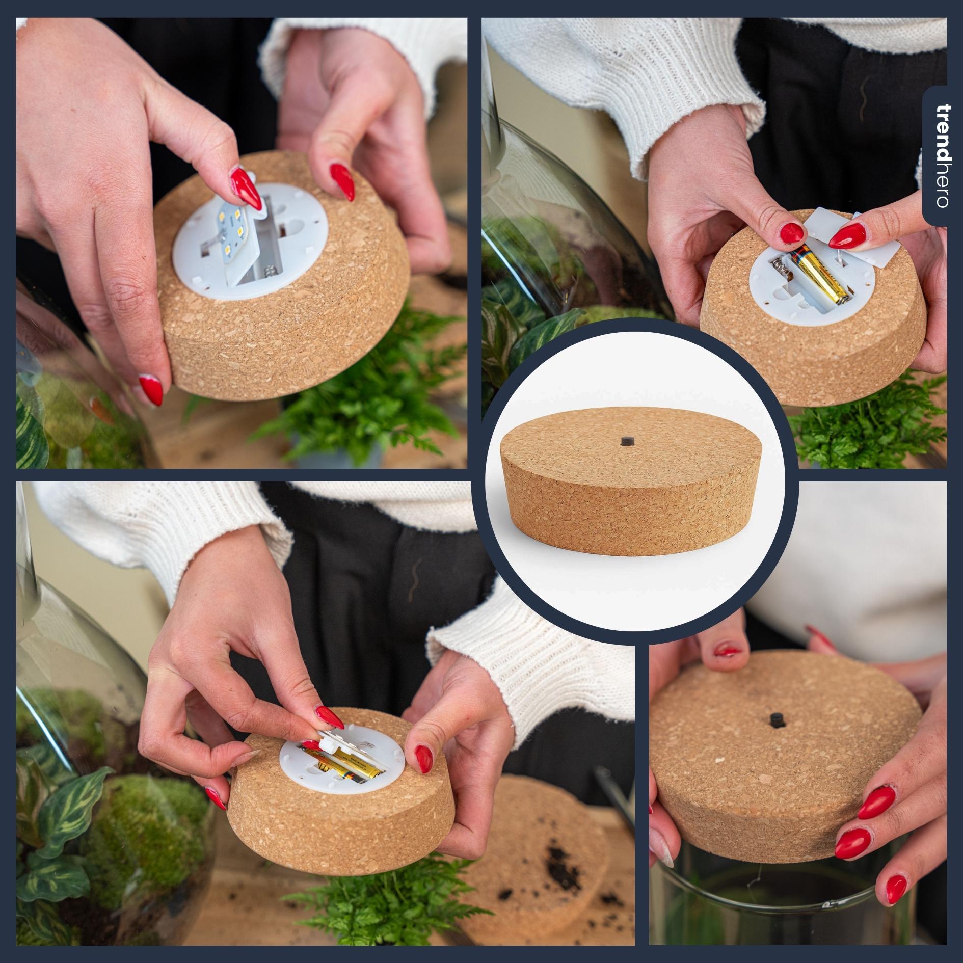 Led kurk S  - Kurk met verlichting - LED lamp voor terrarium - 10,3 x 9 x 2,7 cm