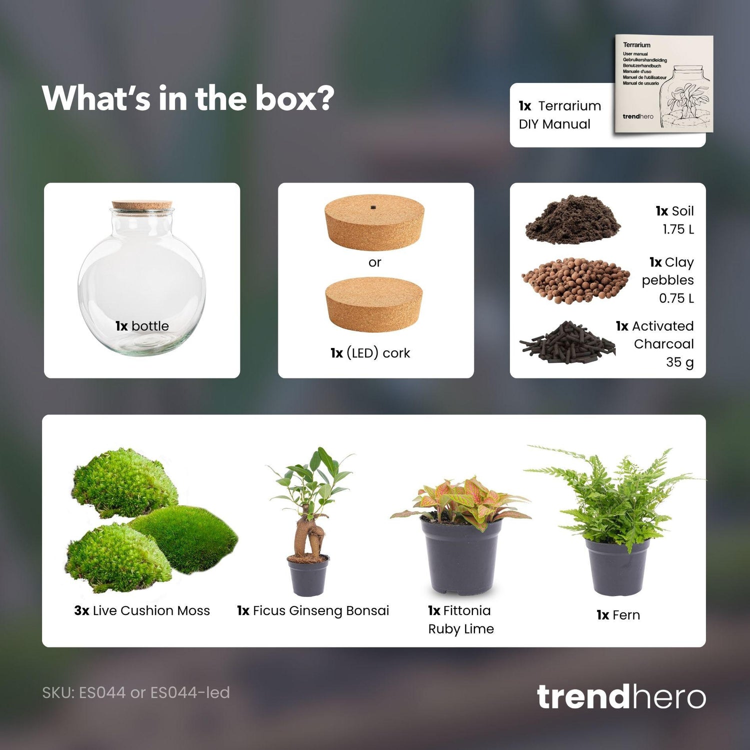 DIY Flaschengarten mit Licht - Bolder Bob Bonsai - Ø 31 cm ↑ 30 cm