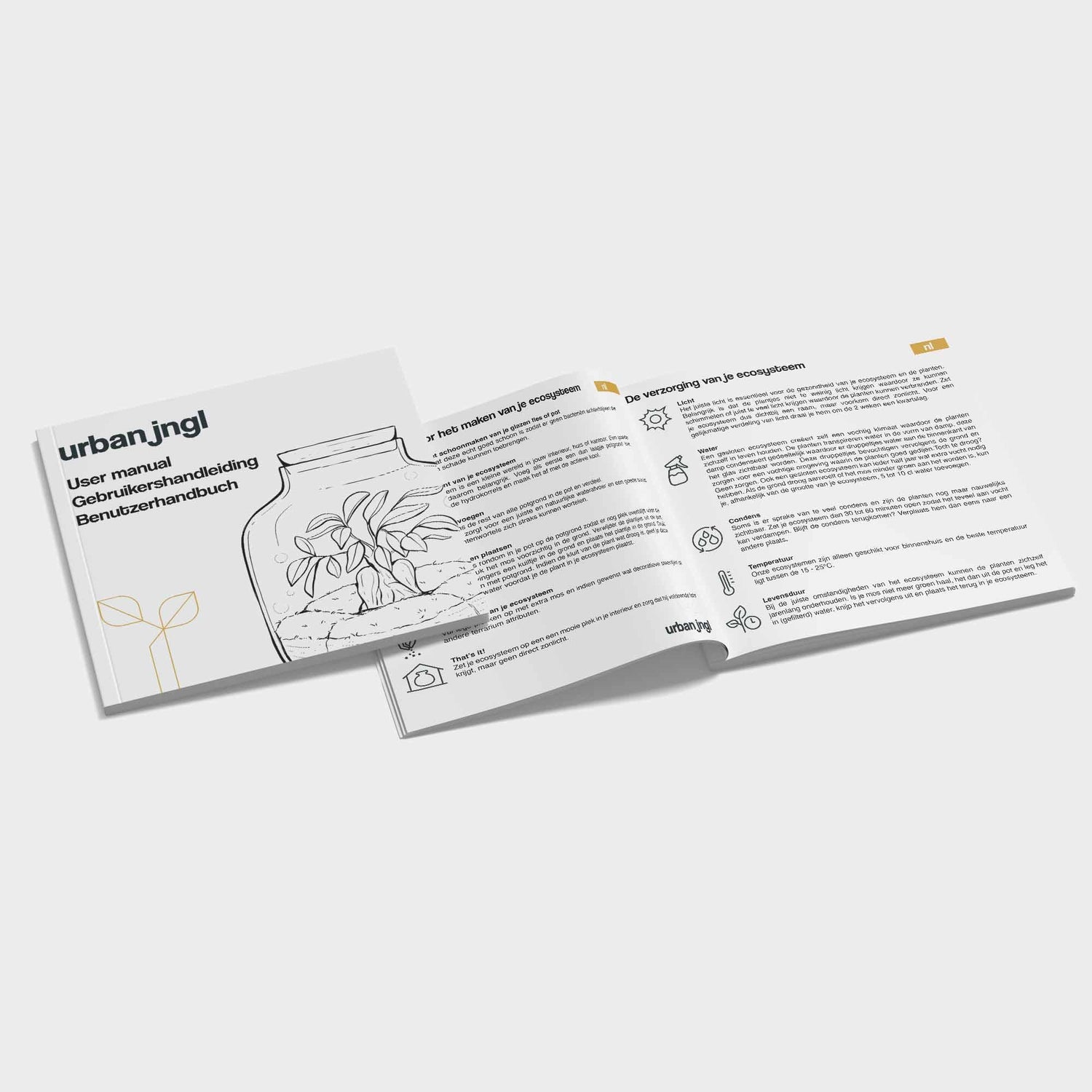 Planten terrarium navulling &amp; startpakket - Calathea Lancifolia