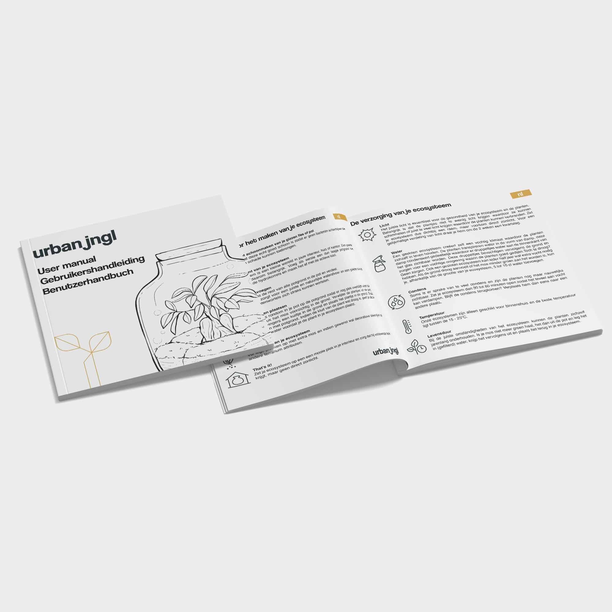 Planten terrarium navulling &amp; startpakket - Calathea Lancifolia