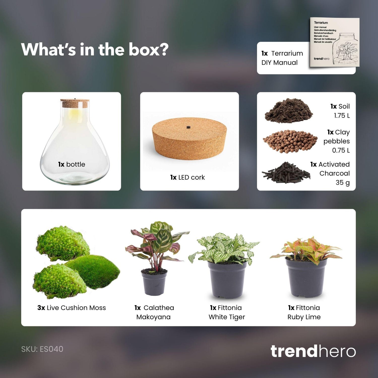 Flaschengarten - Sam XL Rot - ↕ 35 cm - ohne Werkzeug