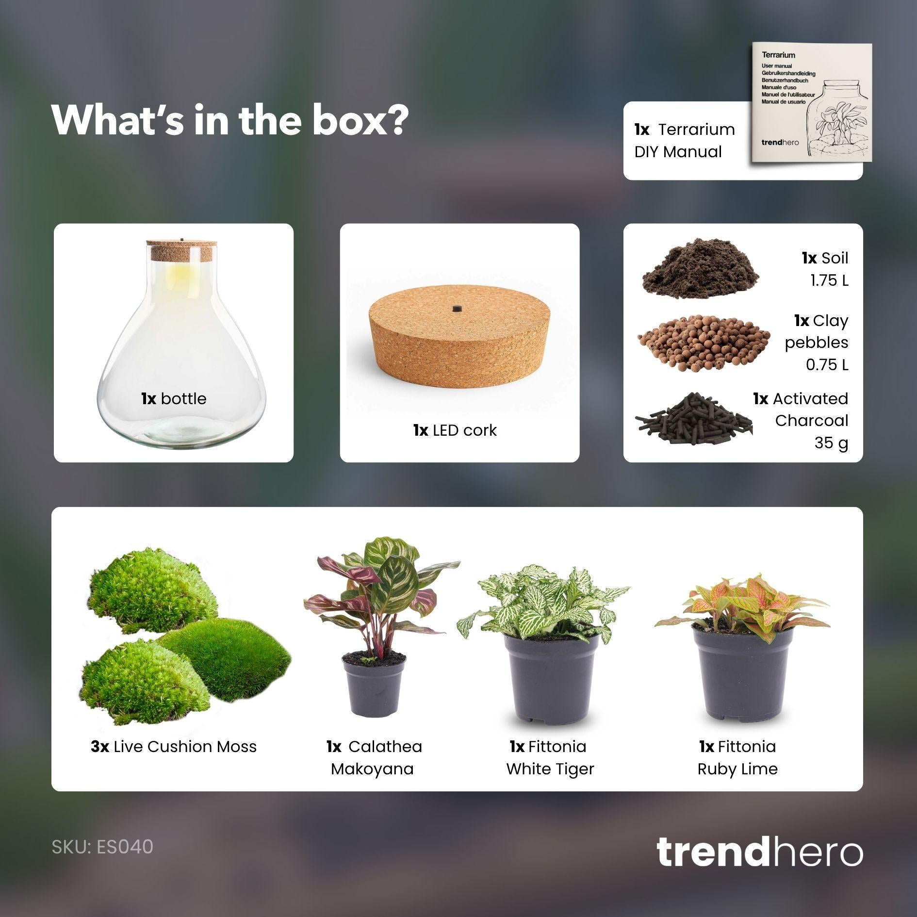 Flaschengarten - Sam XL Rot - ↕ 35 cm - ohne Werkzeug