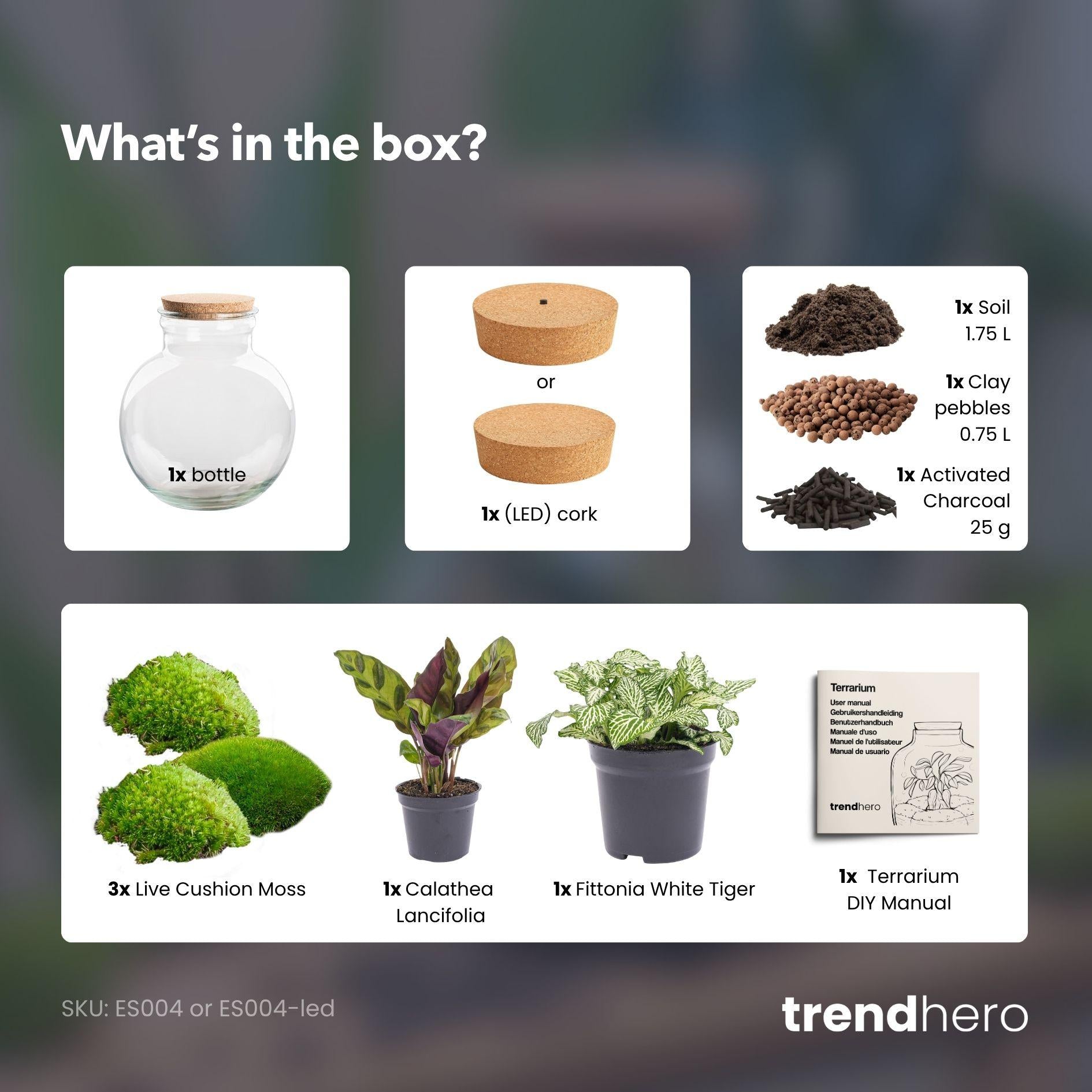 Flaschengarten - Teddy - ↕ 26,5 cm - ohne Werkzeug