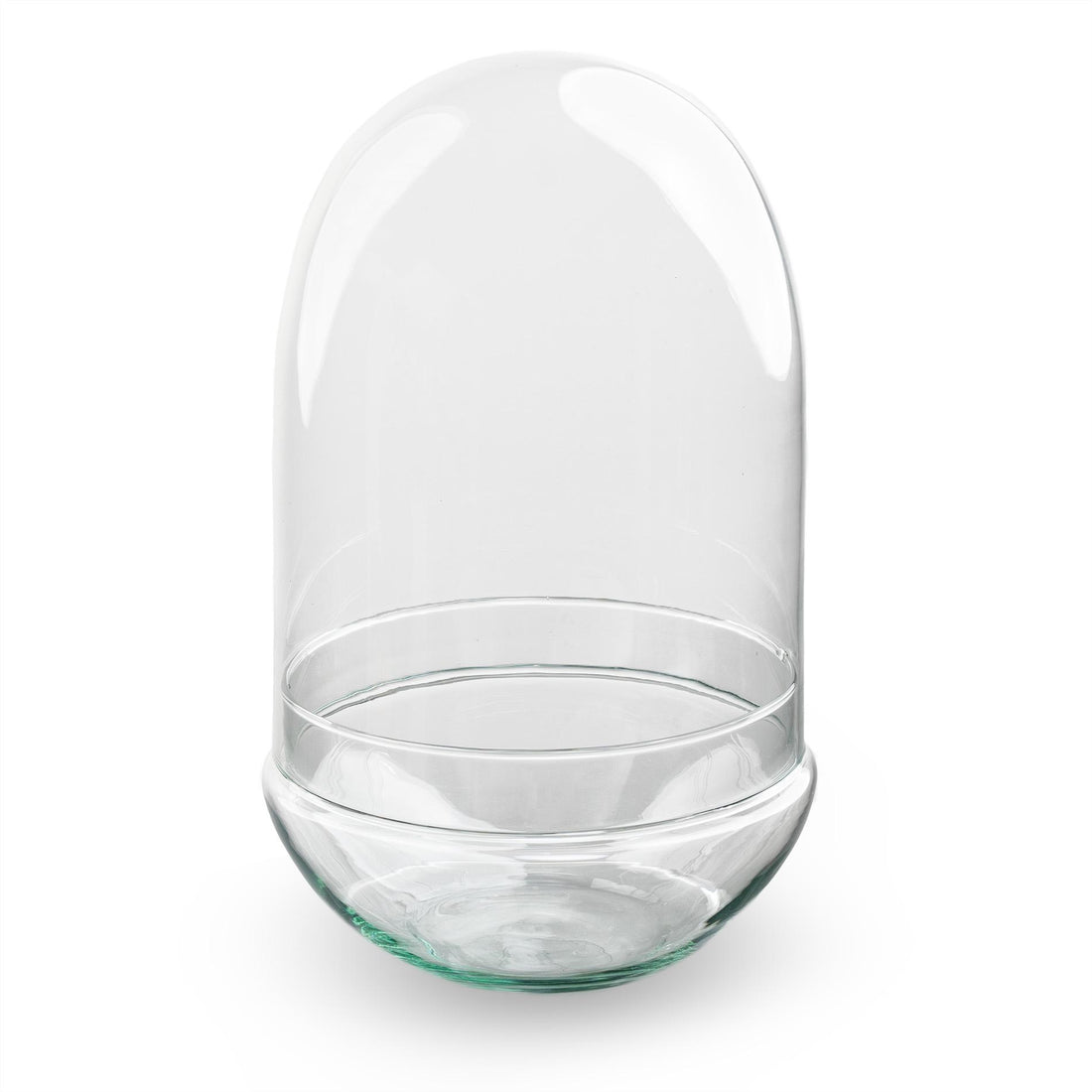 Terrarium fles tweedelig - Egg XL - Ø 17,5 cm ↑ 30 cm
