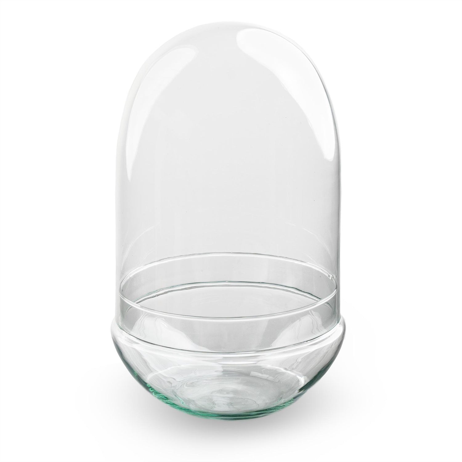 Terrarium fles tweedelig - Egg XL - Ø 17,5 cm ↑ 30 cm