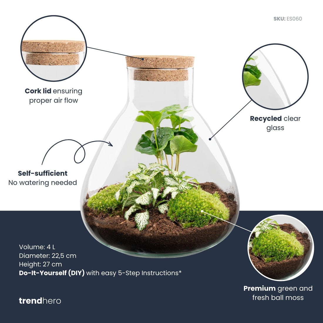 DIY terrarium – Sammie – ↕ 27 cm