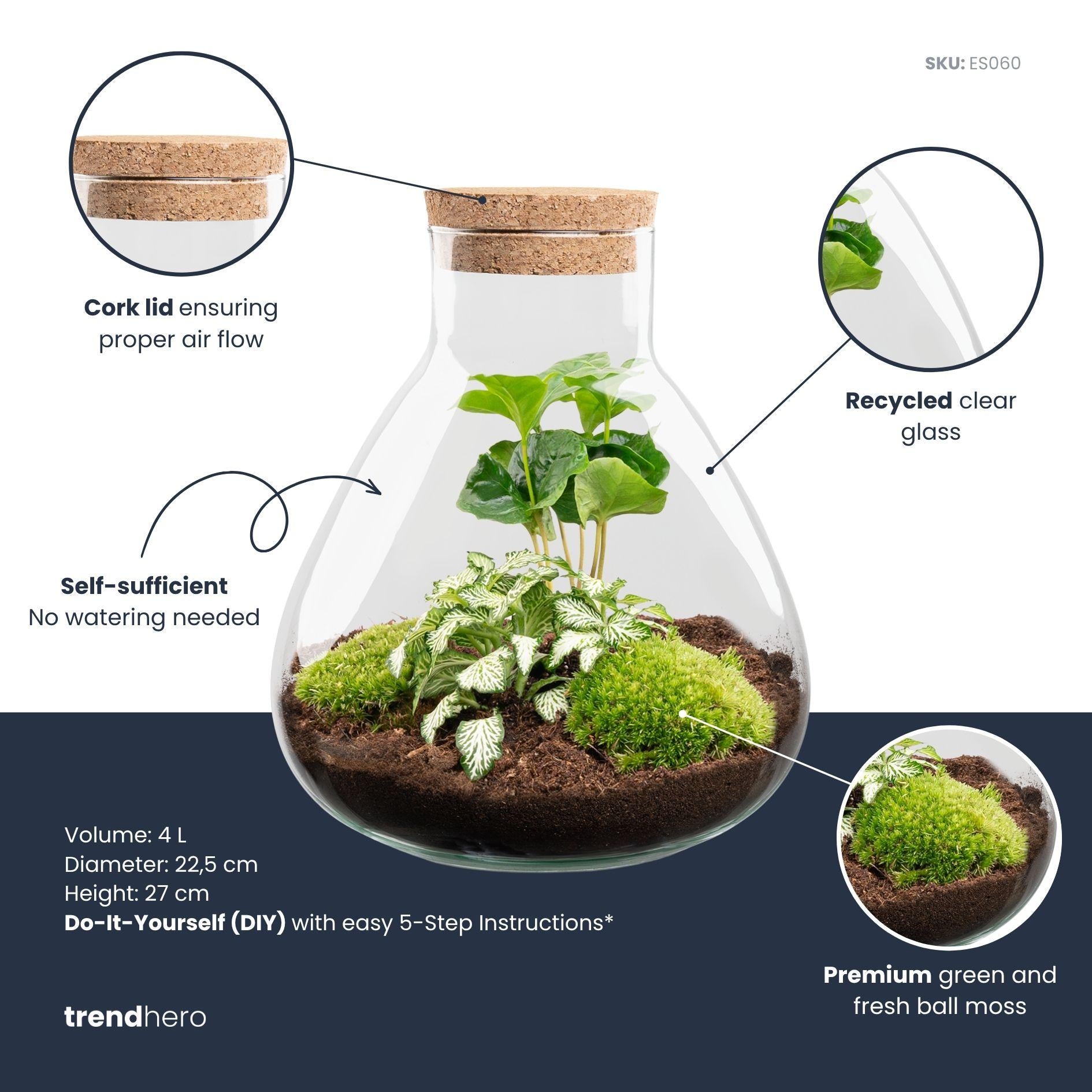 DIY terrarium – Sammie – ↕ 27 cm