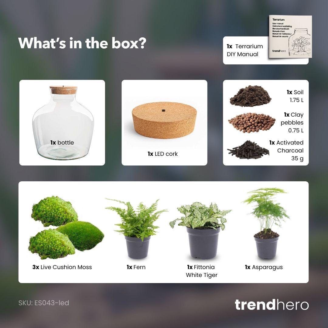 Flaschengarten - Fat Joe grün - ↕ 30 cm - ohne Werkzeug