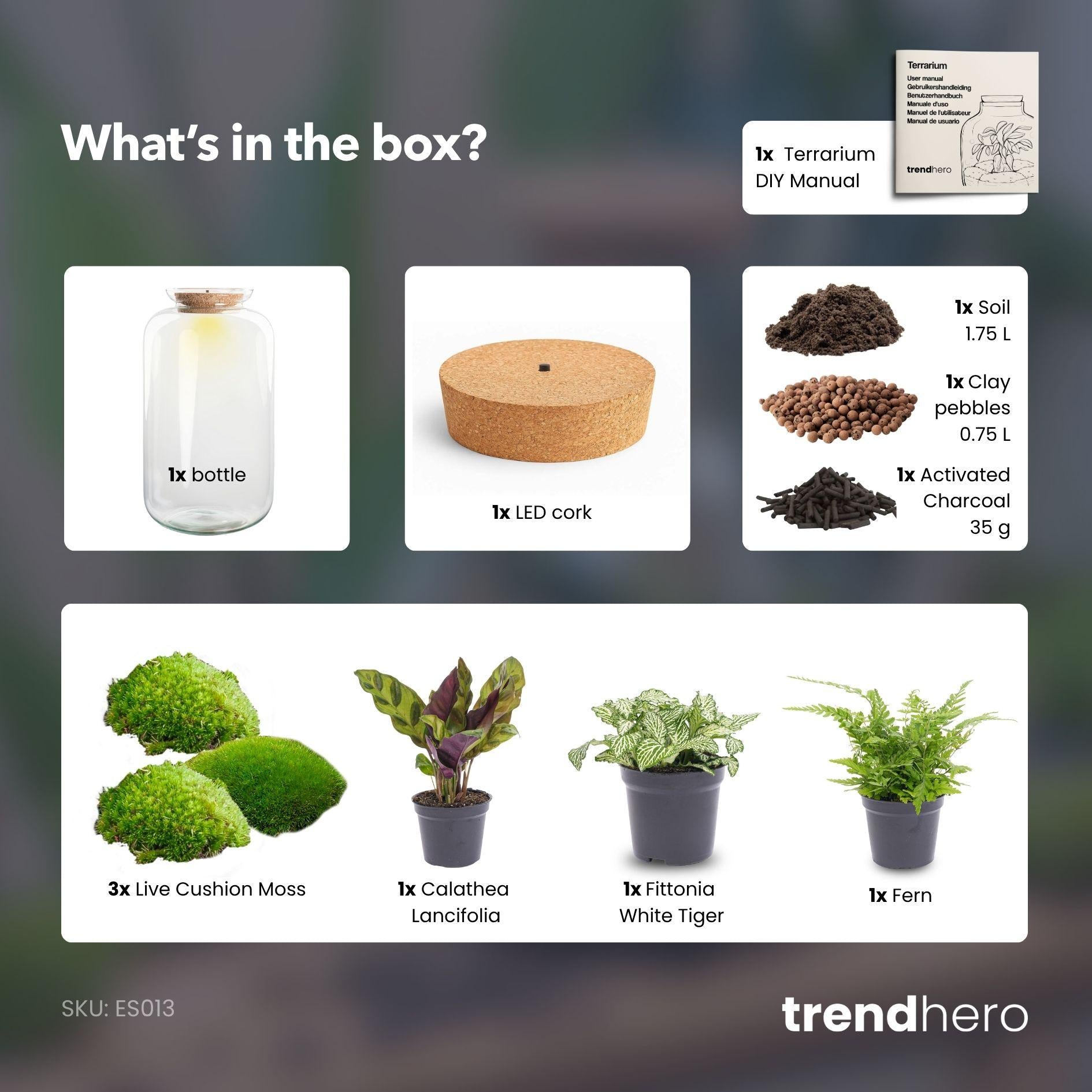 Flaschengarten - Botanical Sven XL - ↕ 43 cm - ohne Werkzeug