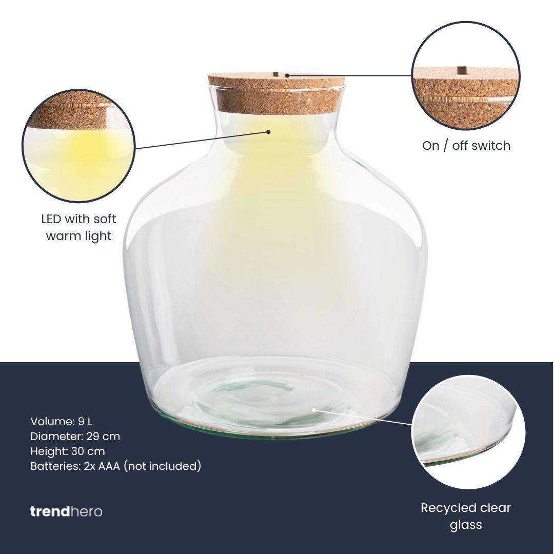 Terrarium fles met verlichting - Fat Joe - Ø 29 cm ↑ 30 cm